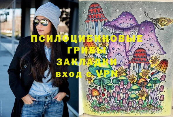 не бодяженный Алексин