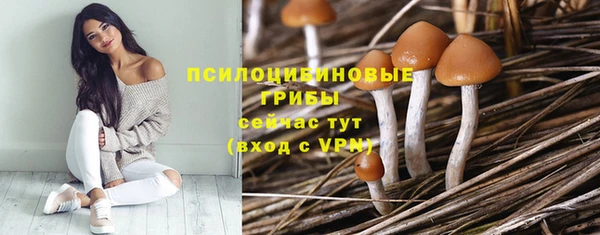 стаф Абдулино